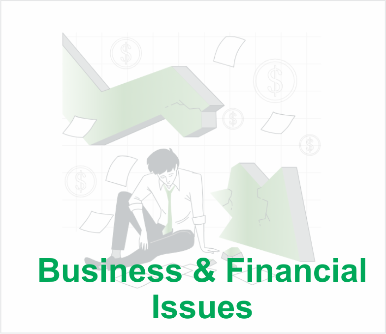 11-Business & Financial Issues_2