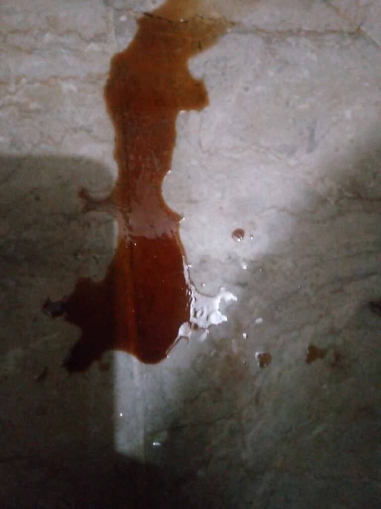 Blood on floor